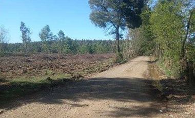 Parcela en venta en MULCHÉN