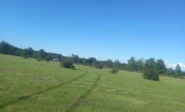 Parcela en venta en MULCHÉN