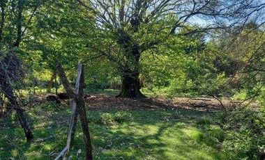 Parcela en venta en MULCHÉN