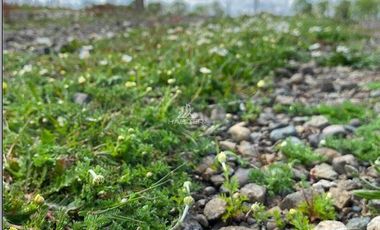 Parcela en Venta en COD38547 a 5 minutos de Temuco, sector Pumalal