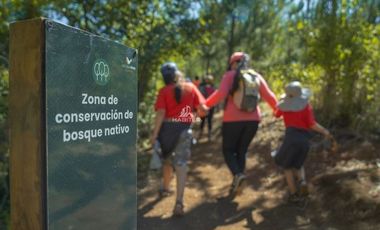 Parcela en Venta en COD38547 a 5 minutos de Temuco, sector Pumalal