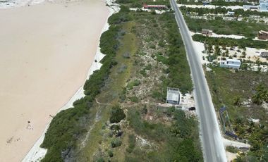 Terrenos en Venta (Palmarea)