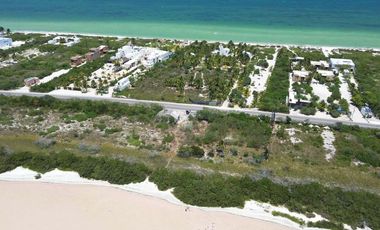 Terrenos en Venta (Palmarea)