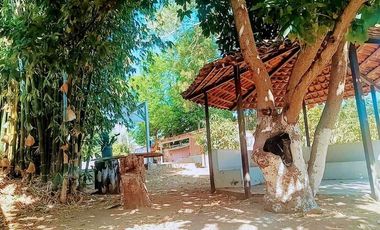 CASA DE CAMPO EN LOS PINOS CAMPESTRE ZAPOPAN
