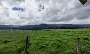 Terreno de venta en Victoria del Portete – código:21667