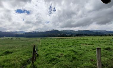 Terreno de venta en Victoria del Portete – código:21667