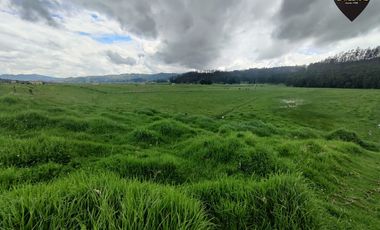 Terreno de venta en Victoria del Portete – código:21667