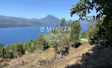 Sitio en Venta en Camino Coñaripe