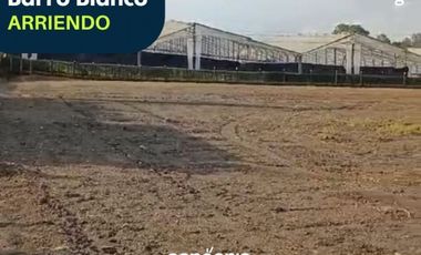 Lote en arriendo- Rionegro- Barro Blanco