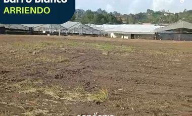 Lote en arriendo- Rionegro- Barro Blanco