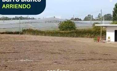 Lote en arriendo- Rionegro- Barro Blanco