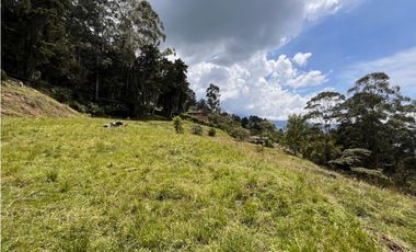 HERMOSO LOTE INDEPENDIENTE CON VISTA A LA CIUDAD EN VENTA  LOS BALSOS