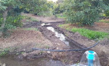 Oportunidad, 10 hectáreas en Petorquita