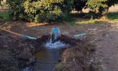 Oportunidad, 10 hectáreas en Petorquita