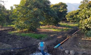 Oportunidad, 10 hectáreas en Petorquita