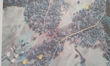 15 Terrenos de 10.000 m2 en Cunamo.