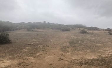 2 Terrenos de 5.680 m2 en Tabolango