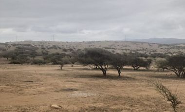 2 Terrenos de 5.680 m2 en Tabolango