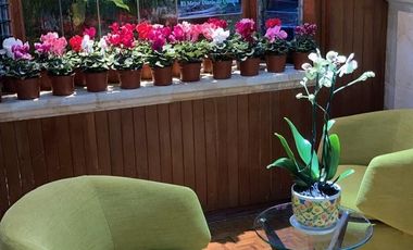 Vendo Quinta  C.Iturbide San Felipe del Agua Oaxaca