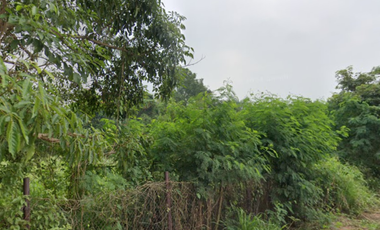 TABASCO, MACUSPANA PEMEX TERRENO EN VENTA