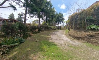 FINCA EN ARRIENDO UBICADA EN GUARNE SECTOR VEREDA ALTAVISTA