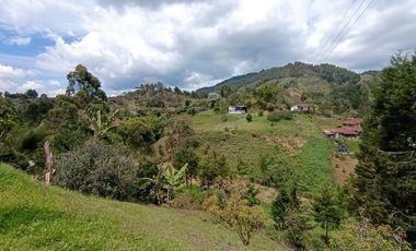 FINCA EN ARRIENDO UBICADA EN GUARNE SECTOR VEREDA ALTAVISTA
