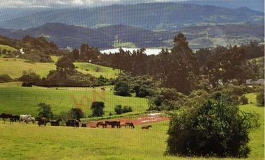 Venta Finca en la Vereda Tierra Negra Sesquilé Cundinamarca