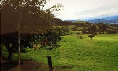 Venta Finca en la Vereda Tierra Negra Sesquilé Cundinamarca