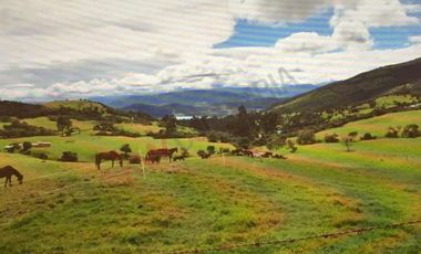 Venta Finca en la Vereda Tierra Negra Sesquilé Cundinamarca