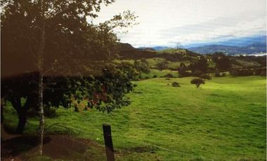 Venta Finca en la Vereda Tierra Negra Sesquilé Cundinamarca