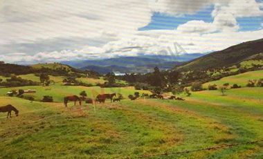 Venta Finca en la Vereda Tierra Negra Sesquilé Cundinamarca