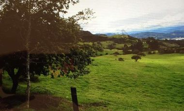 Venta Finca en la Vereda Tierra Negra Sesquilé Cundinamarca