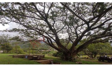 En Venta Lote En Palmira, Valle Del Cauca