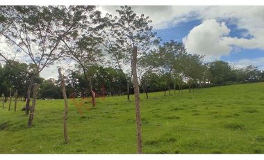 En Venta Lote En Palmira, Valle Del Cauca