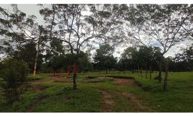 En Venta Lote En Palmira, Valle Del Cauca