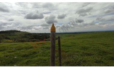 En Venta Lote En Palmira, Valle Del Cauca