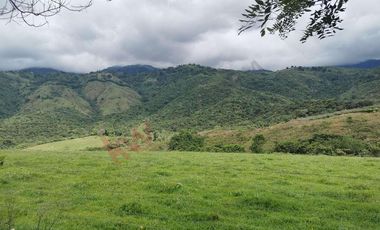 En Venta Lote En Palmira, Valle Del Cauca
