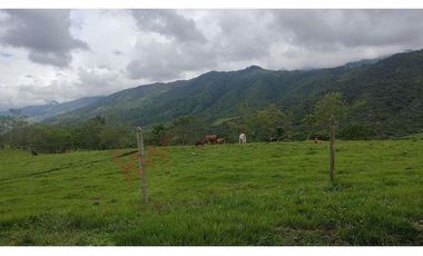 En Venta Lote En Palmira, Valle Del Cauca