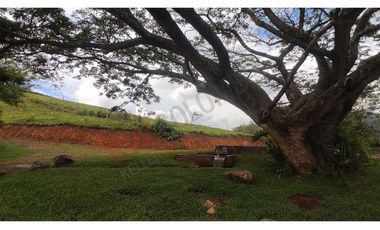 En Venta Lote En Palmira, Valle Del Cauca