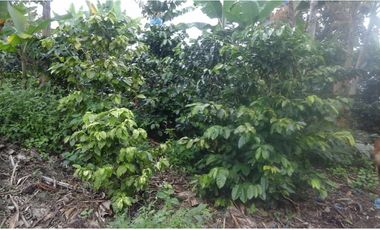 Se vende finca via Filandia - Quimbaya