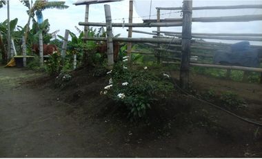 Se vende finca via Filandia - Quimbaya