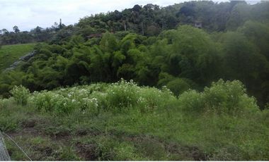 Se vende finca via Filandia - Quimbaya