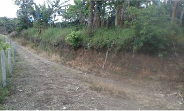 Se vende finca via Filandia - Quimbaya