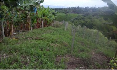 Se vende finca via Filandia - Quimbaya