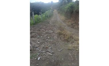 Se vende finca via Filandia - Quimbaya