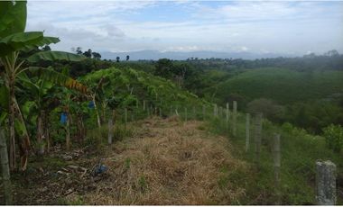 Se vende finca via Filandia - Quimbaya