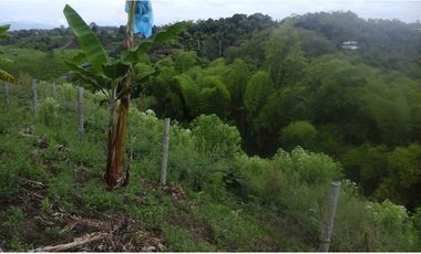 Se vende finca via Filandia - Quimbaya