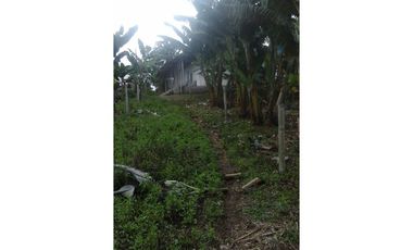 Se vende finca via Filandia - Quimbaya