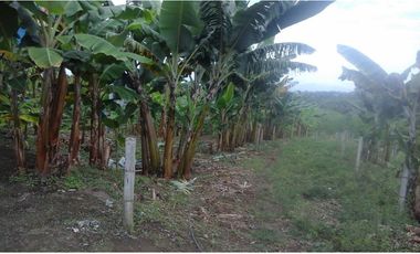 Se vende finca via Filandia - Quimbaya