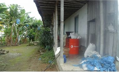 Se vende finca via Filandia - Quimbaya